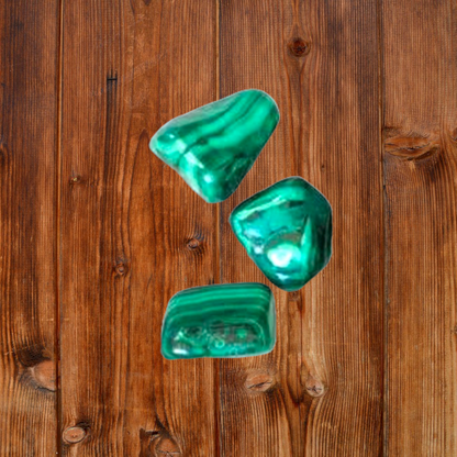 Tumbled Malachite 1 Lb Lot or Per 1" Stone